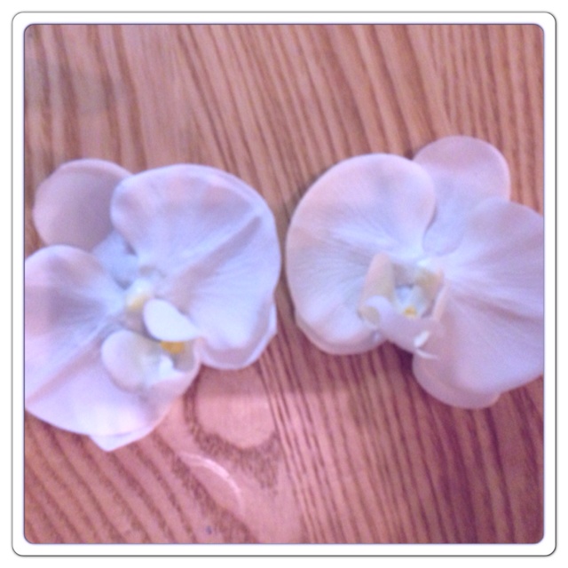 rblog-20130801100050-02.jpg