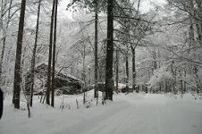 20100102麓郷の森の雪.jpg