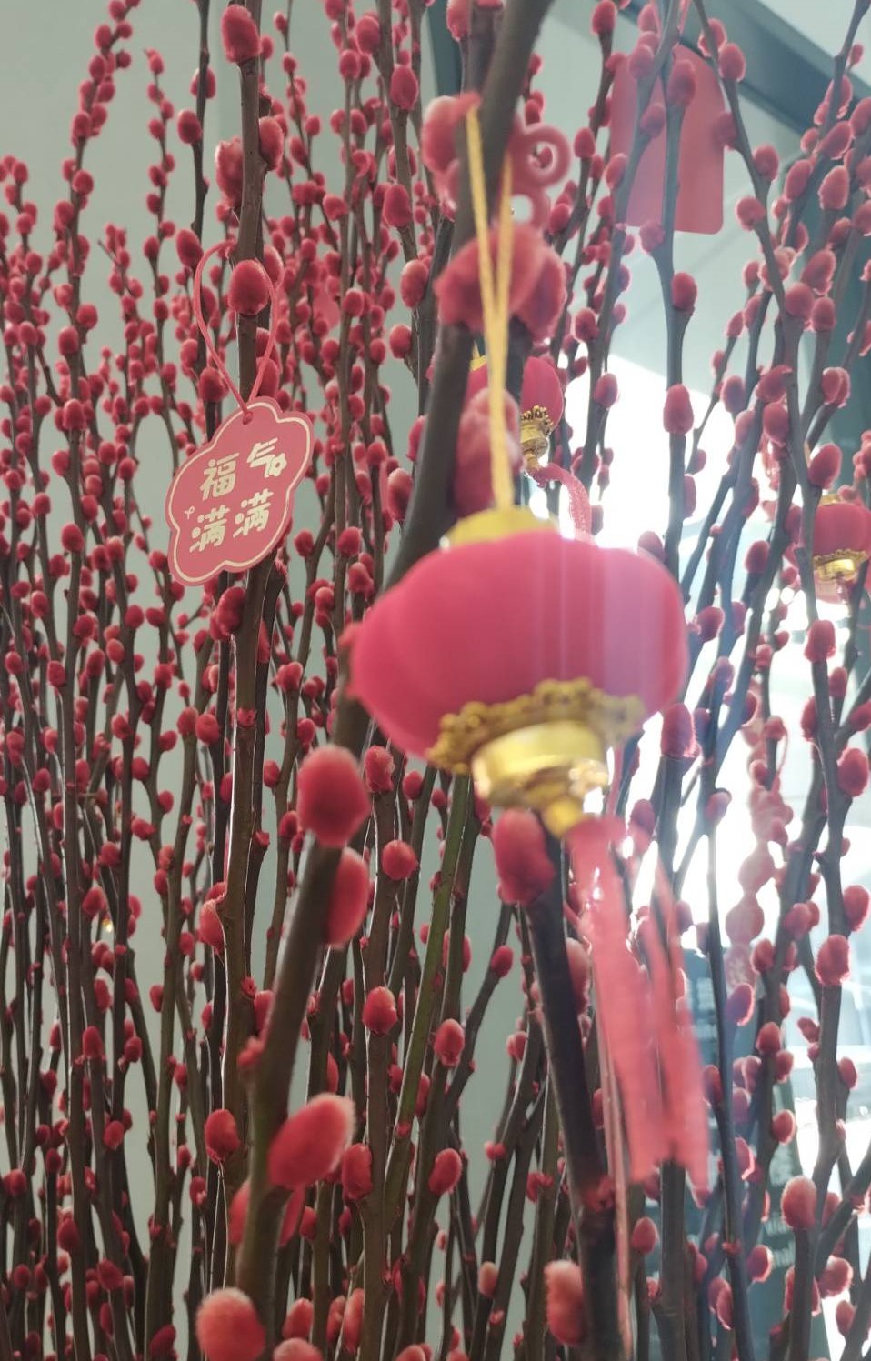 MONKEY MAJIK CHINA TOUR 2025 上海公演翌日⑤ Where to next ? 楽天ブログ