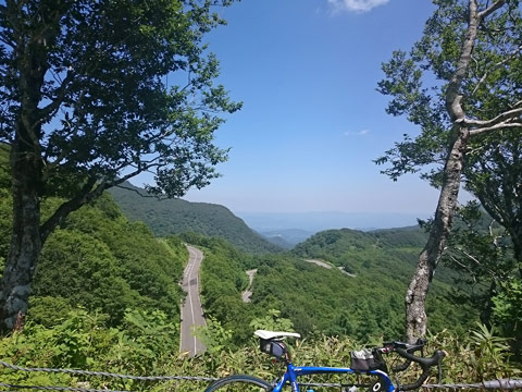 skyline.jpg