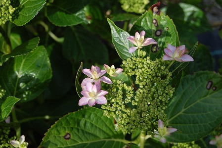 DSC_0572.jpg