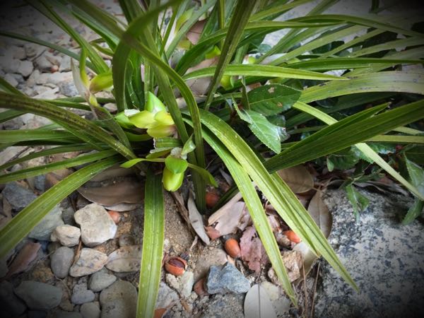 rblog-20160327163919-09.jpg