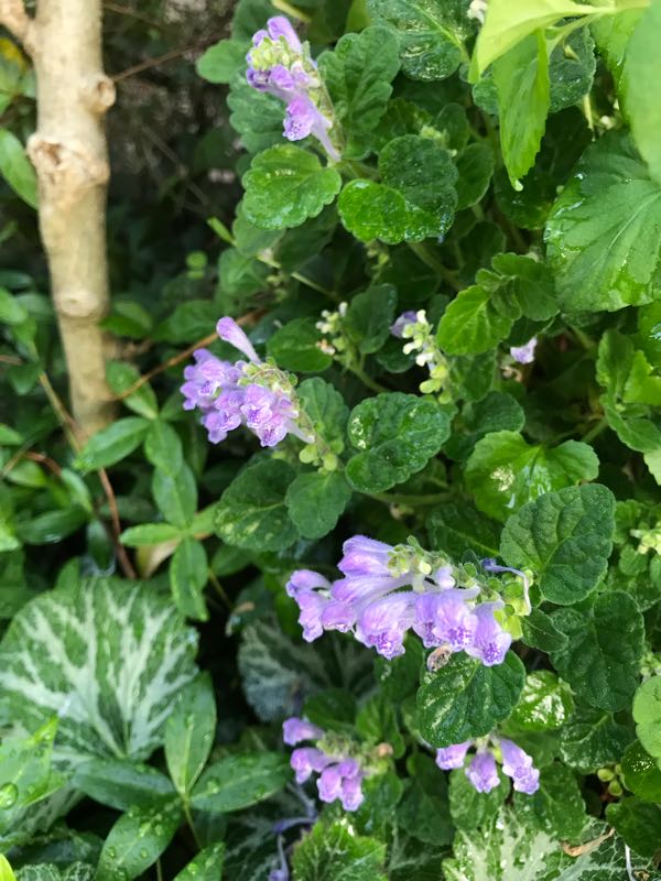 rblog-20180429182251-08.jpg