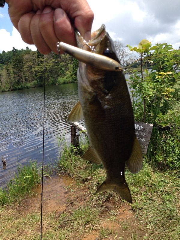 rblog-20140720211541-01.jpg
