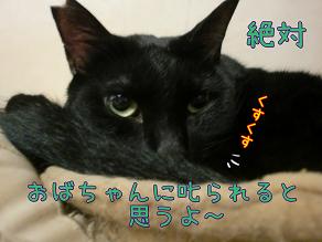 鈴叱られると思う.JPG