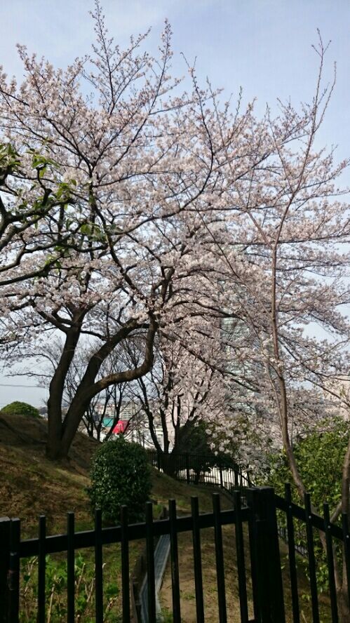 rblog-20190328212352-02.jpg