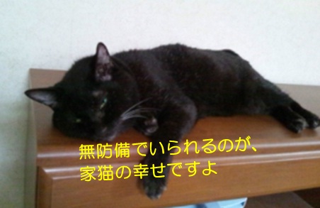 20120729_5.jpg