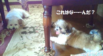 2012071611280000.jpg