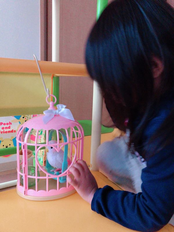 rblog-20190105213825-01.jpg