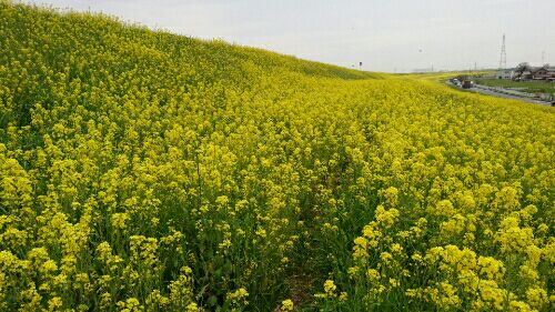 rblog-20160401214423-01.jpg