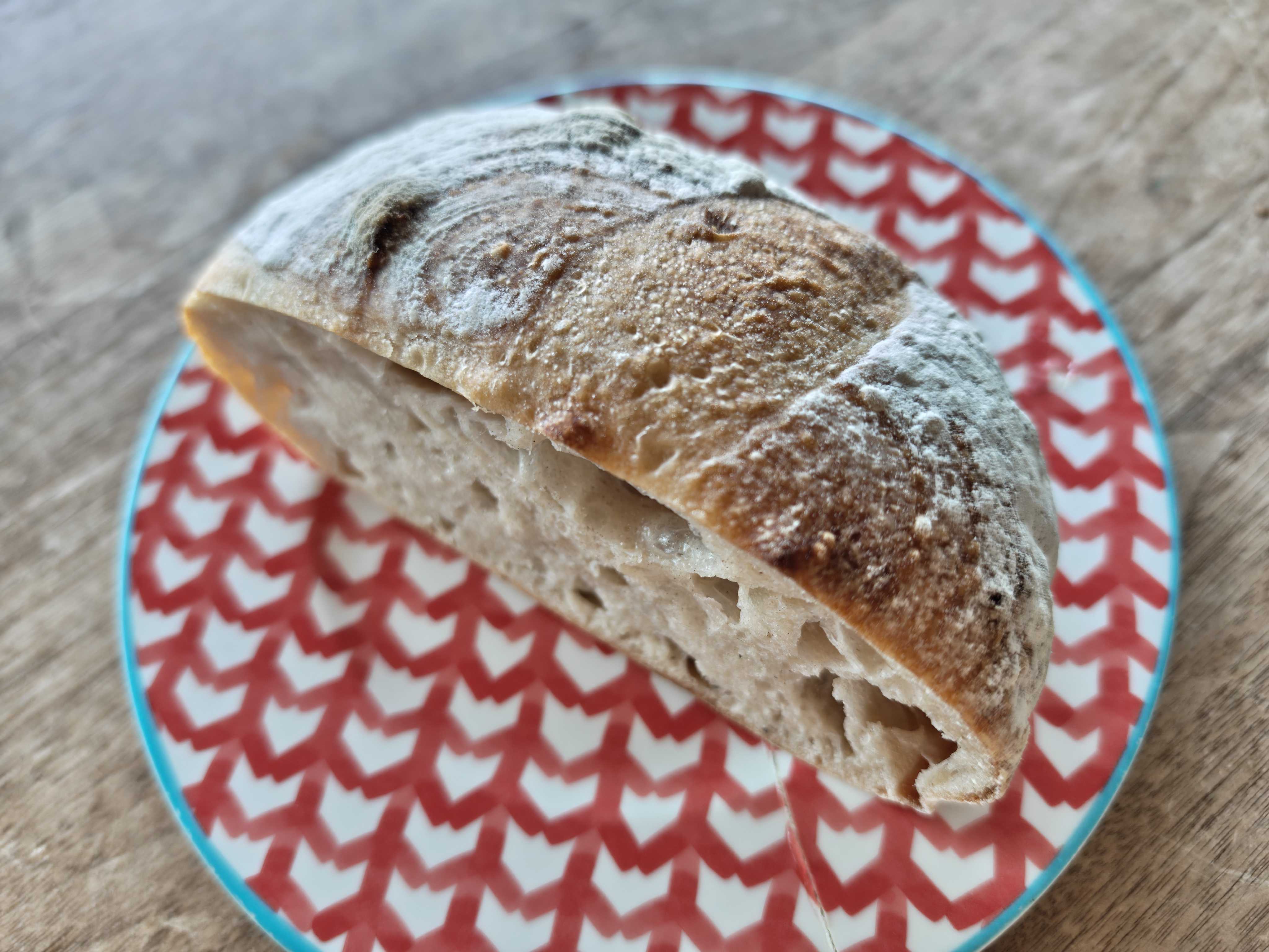 谷津駅のイベントで購入　panKnock　ロデヴ