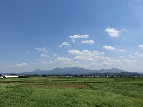 IMG_1017.jpg