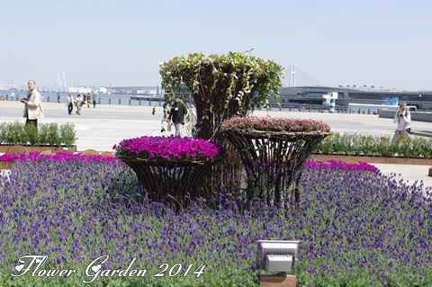 Flower Garden 2014