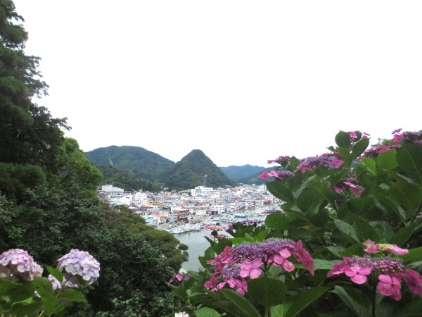 下田　あじさい祭り