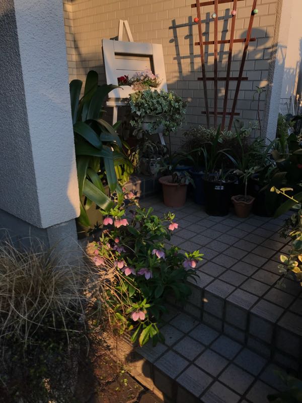 rblog-20180325184332-09.jpg
