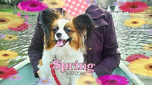 rblog-20150503225500-02.jpg