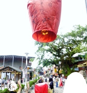 P1020869 - コピー.JPG