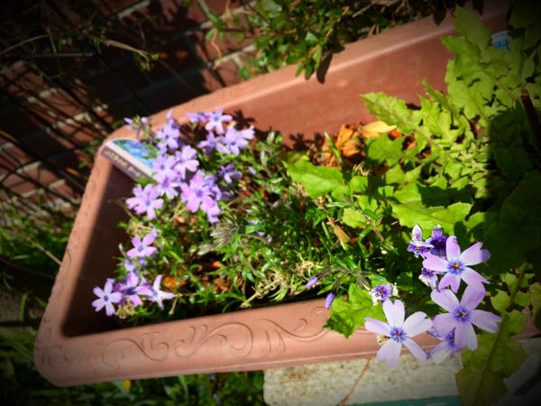 rblog-20150331174843-04.jpg