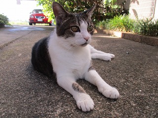 IMG_8220ss.jpg