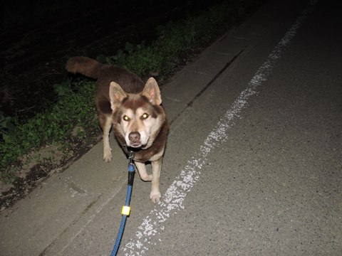 DSCN0299.JPG