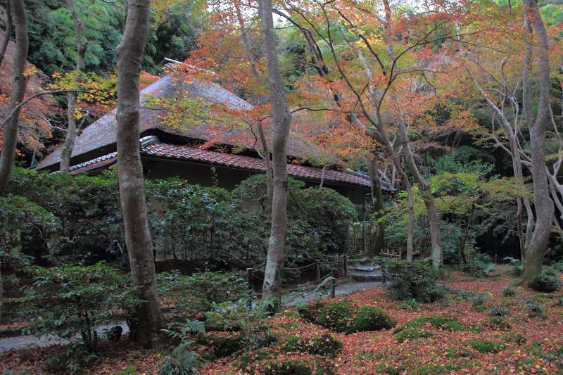 祇王寺_004.jpg