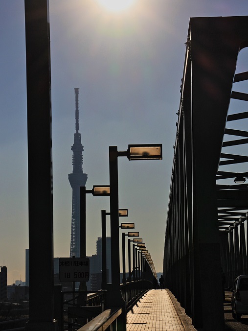 ５.橋歩道とスカイツリー.JPG