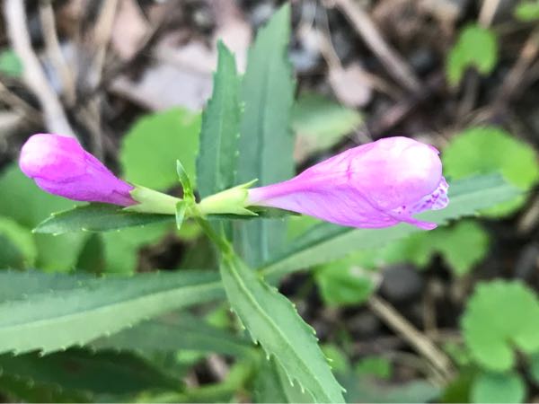 rblog-20181029111344-09.jpg