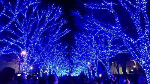rblog-20161211151206-02.jpg