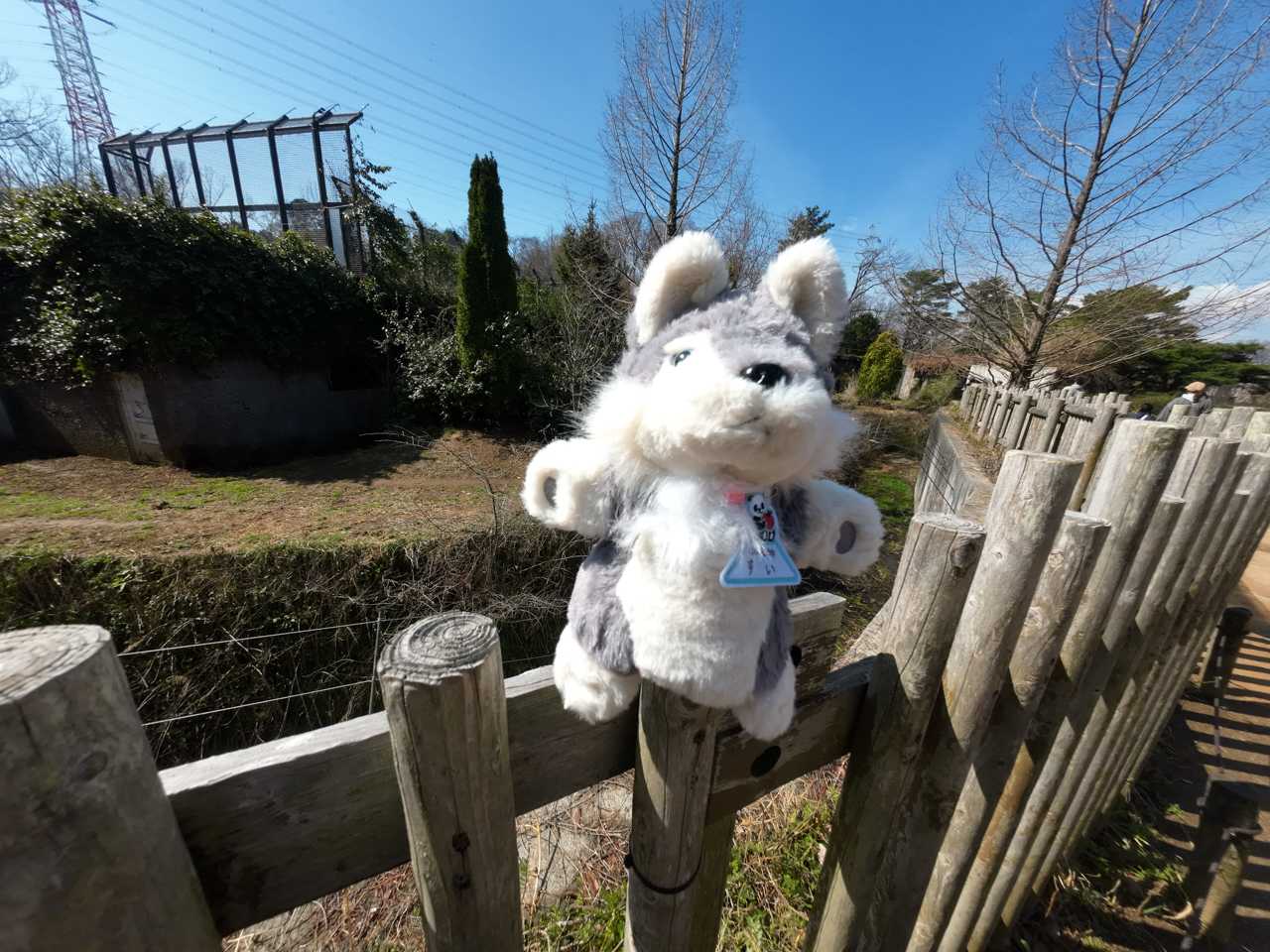 多摩動物公園で買ったパペットのオオカミに名札を付けたよ。 | イルカ