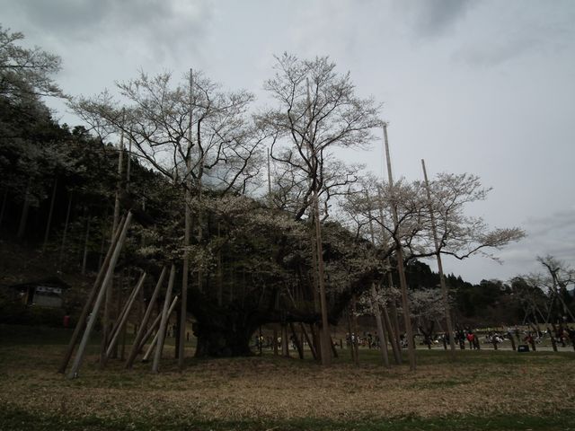 DSCF3724.JPG