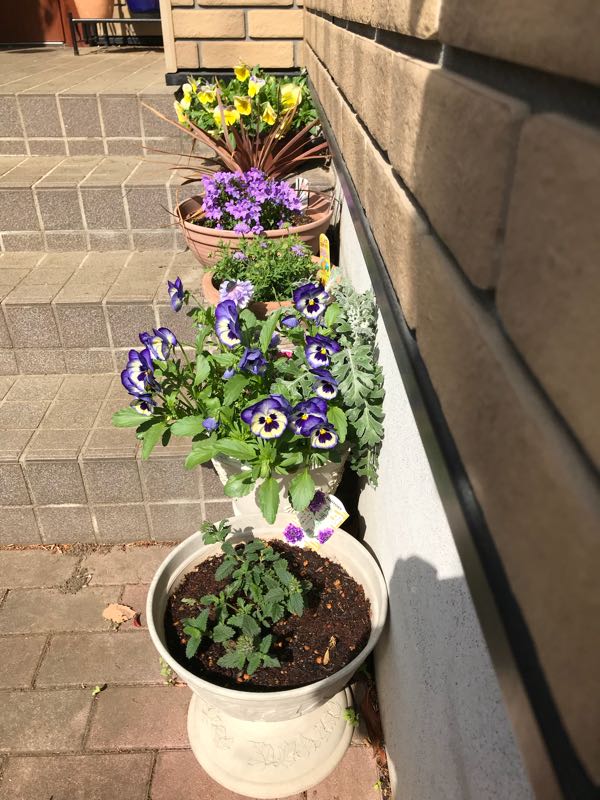 rblog-20180408162428-00.jpg