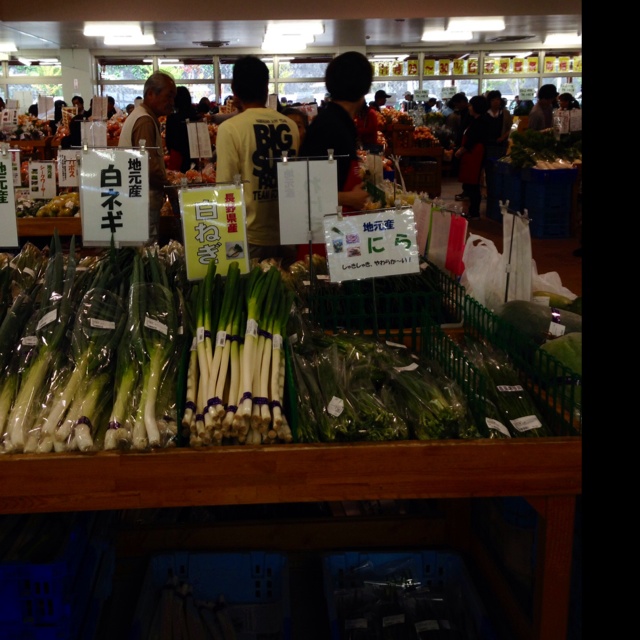 rblog-20131111083017-01.jpg