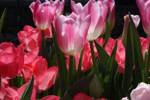 2015041906.JPG