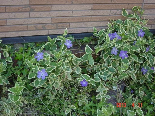 DSC01031.JPG