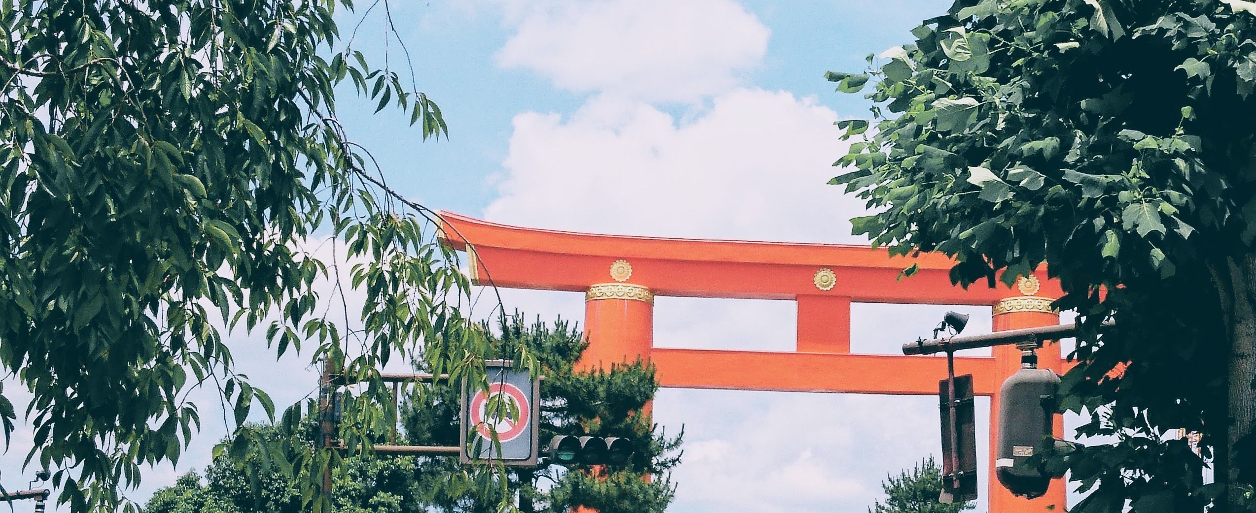 wロードバイク始めましたｗ