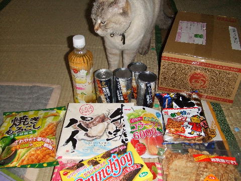 猫１.JPG