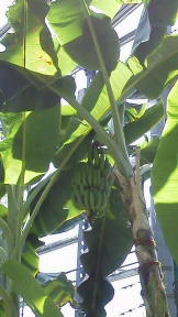 フォト♪ 220 - コピー.JPG