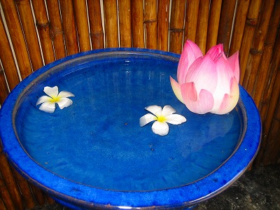 トイレの入り口に飾られたハスの花