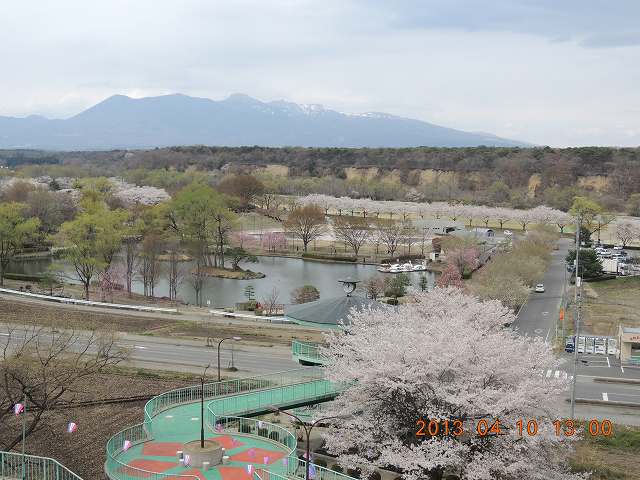 s-2DSCN1017.jpg