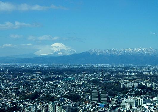 丹沢山地と富士山を眺望.JPG