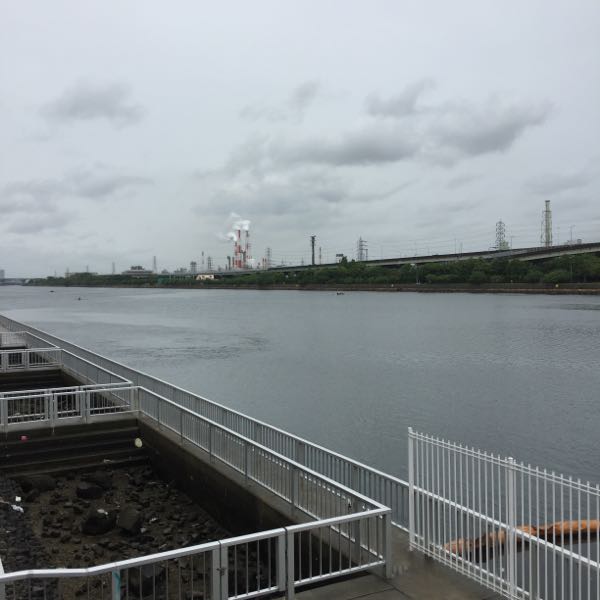 rblog-20160605132144-02.jpg