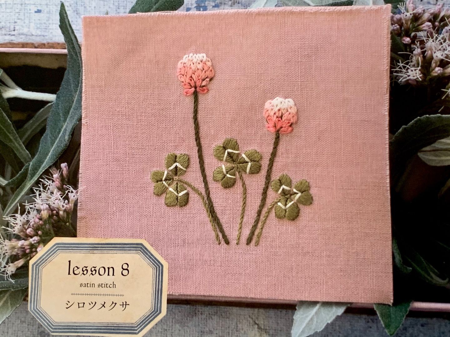 36ページ目の 健康 Music Land 私の庭の花たち 楽天ブログ