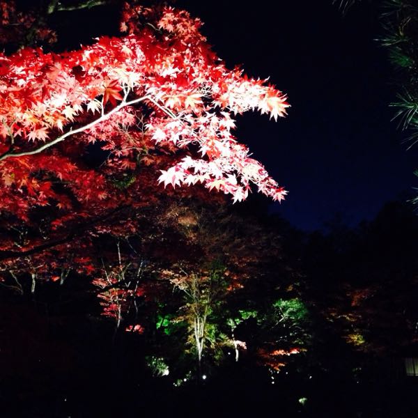 rblog-20141104201815-02.jpg