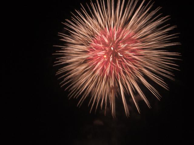 DSCF2147.jpg
