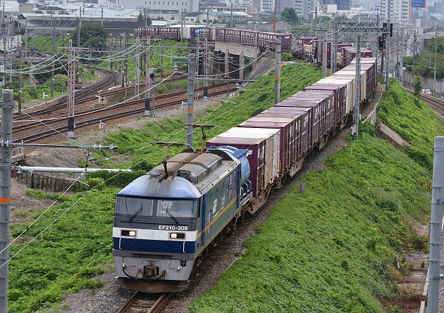 EF210-309 2016.09.16 2077レ.jpg