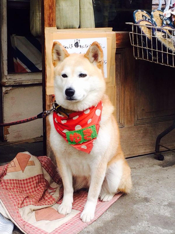 rblog-20131204220932-01.jpg