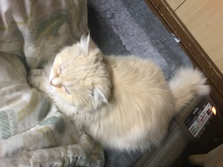 前足そろえ.JPG