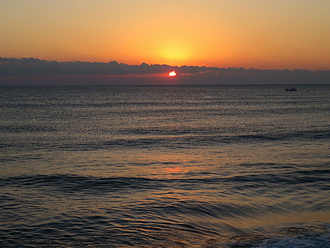 IMG_0807.jpg