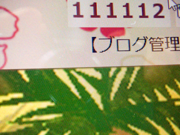 DSCN5476.jpg