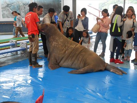 鳥羽水族館